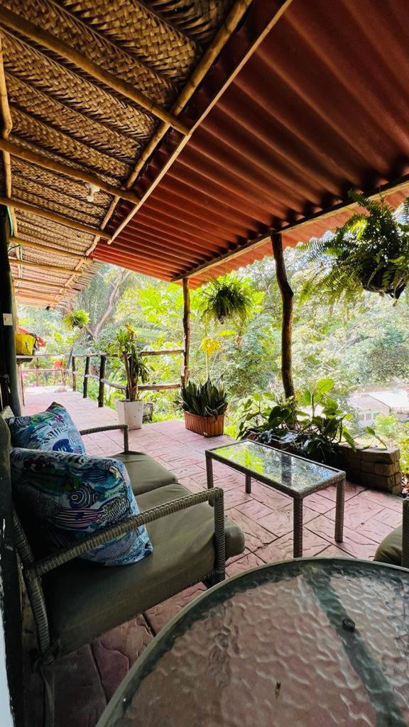 Minca Cabana La Roca سانتا مارتا المظهر الخارجي الصورة